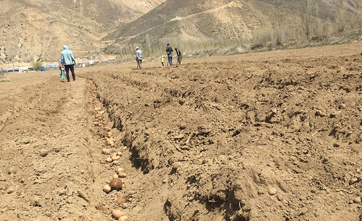Bayburt Üniversitesi'nden tarım seferberliğine destek