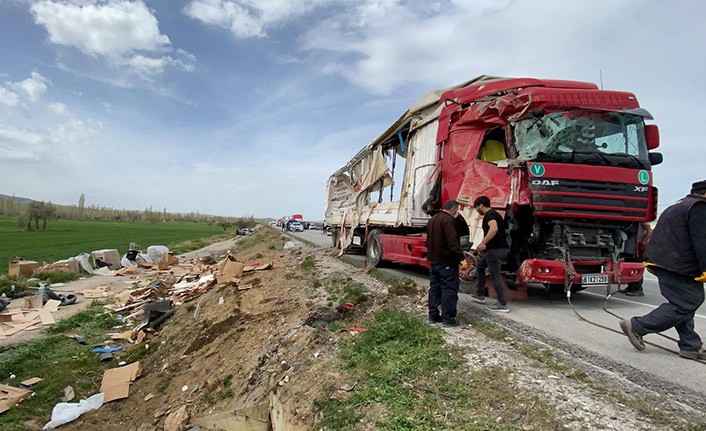 Trabzon plakalı tır devrildi