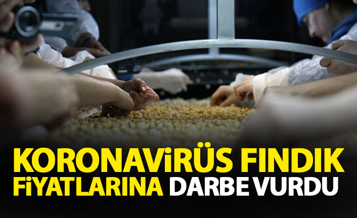 Koronavirüs fındık fiyatlarına darbe vurdu
