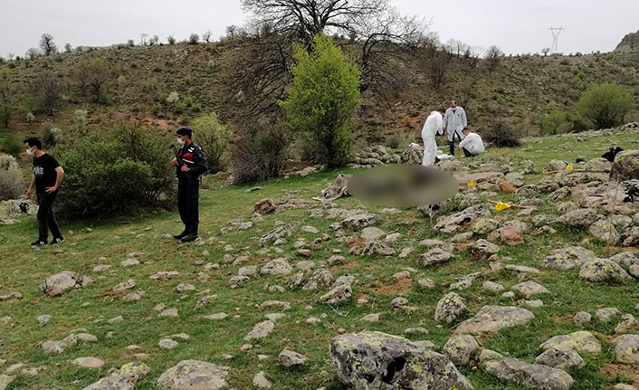 Hayvan otlatma kavgası baba-oğlu canından etti
