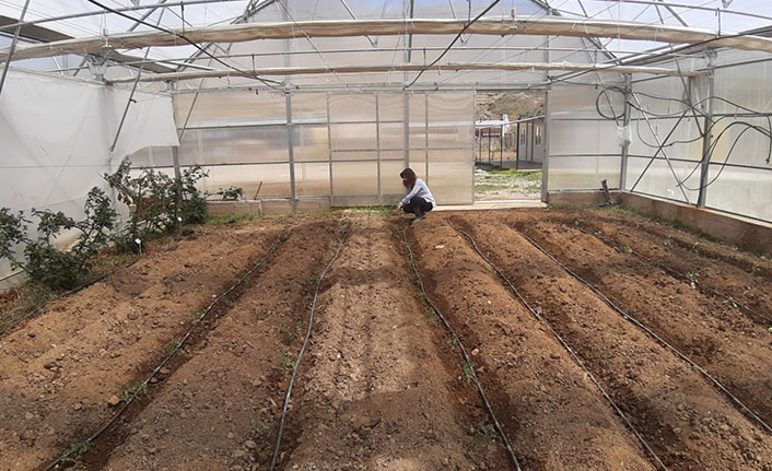 Bayburt Üniversitesi'nden tarımsal üretime destek