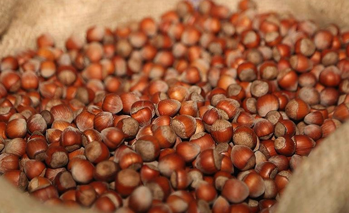 Hüseyin Örs'ten Fındık destek ödemelerine dikkat çekti