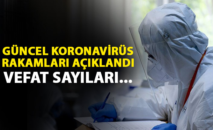 Türkiye’de koronavirüs vakalarında düşüş sürüyor: 22 bin 388 yeni vaka