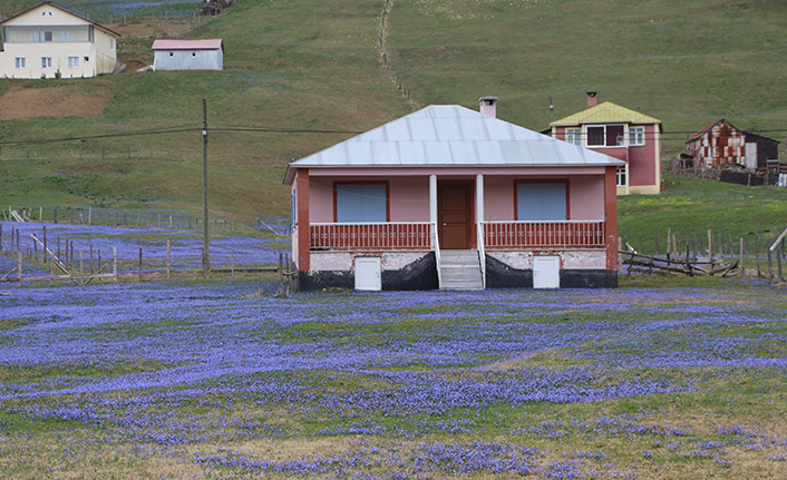 Kadıralak Yaylası'na 'kesin korunacak hassas alan' talebi