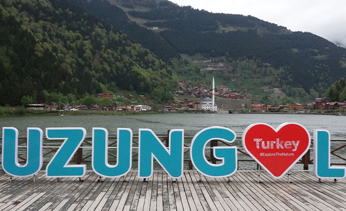 Kış uykusundan uyanan ayılar Uzungöl’e indi