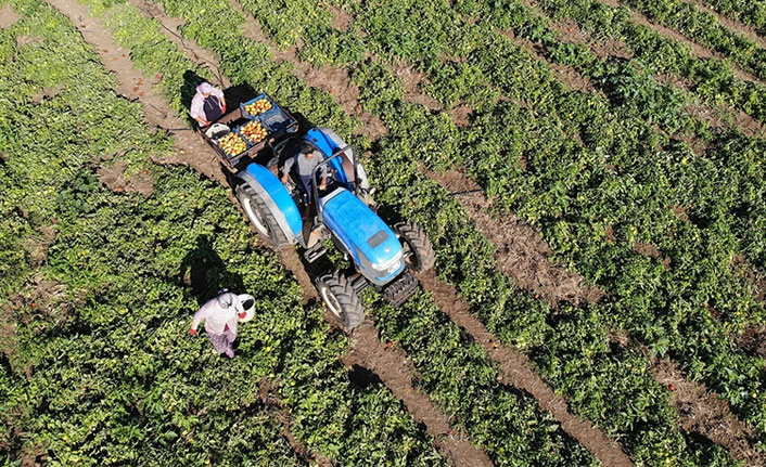 Bakan Pakdemirli üreticilere bayram öncesi destek müjdesi verdi