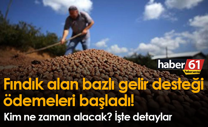 Fındık alan bazlı gelir desteği ödemeleri başladı!