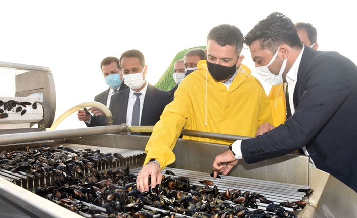 Bakan Pakdemirli'den kıyı balıkçılarına ödeme müjdesi