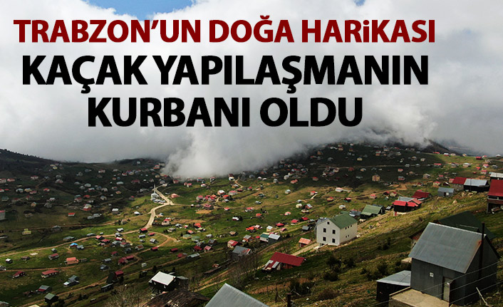 Trabzon'un doğa harikası kaçak yapılaşma kurbanı oldu