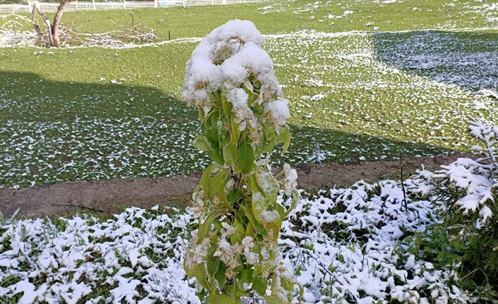 Şavşat güne kar ile uyandı