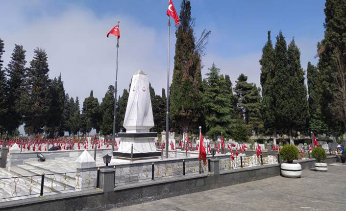 Trabzon Şehitliği'nde kesilen Selvi ağaçları tepkilere neden oldu