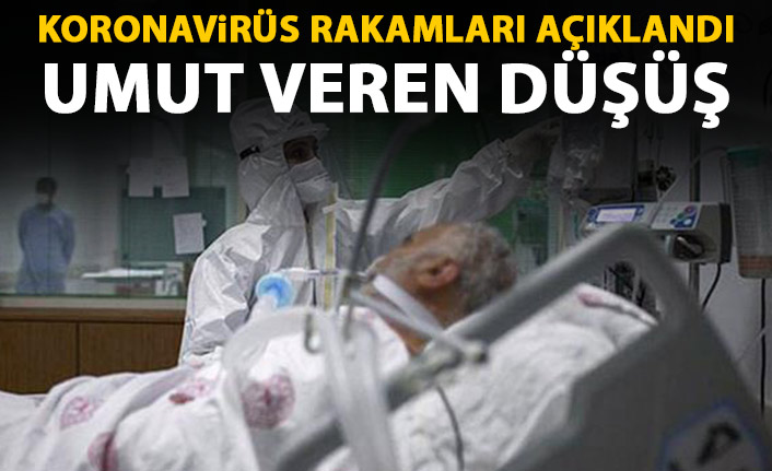 Türkiye’de koronavirüs vakaları azaldı, can kaybı 232 oldu