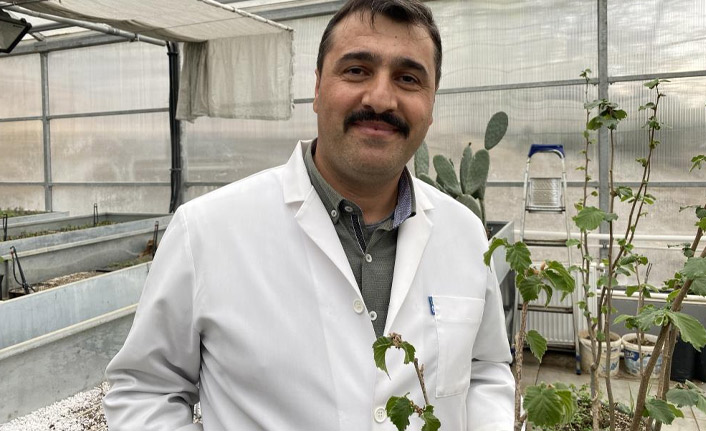 Fındık üreticilerine müjde