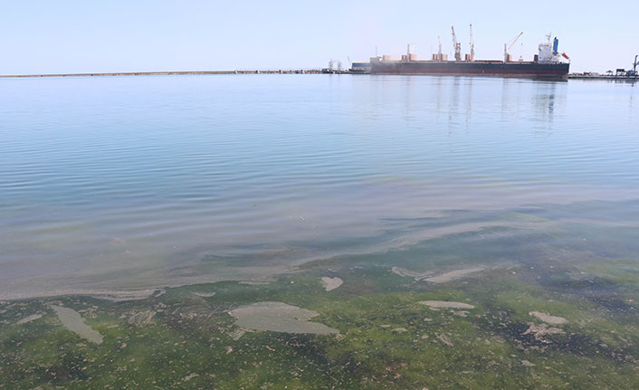 Samsun Limanı'nda korkutan kirlilik