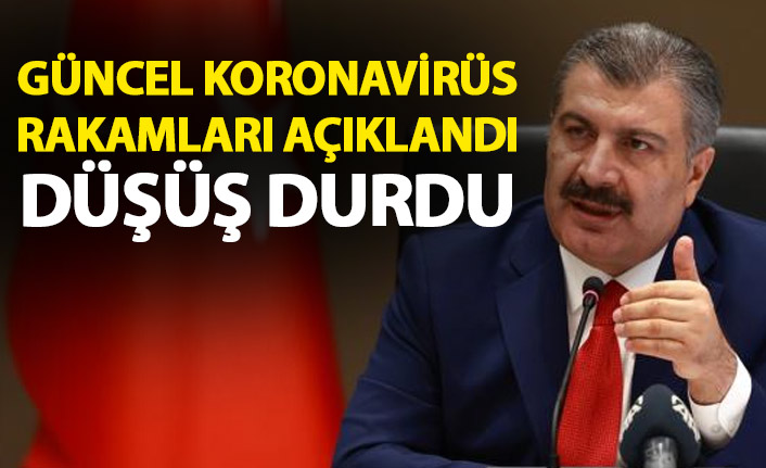 Güncel rakamlar açıklandı! Koronavirüs vakalarındaki düşüş durdu!