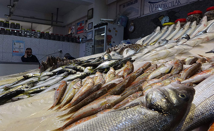Trabzon'da balıkçı esnafının yüzü yine gülmedi