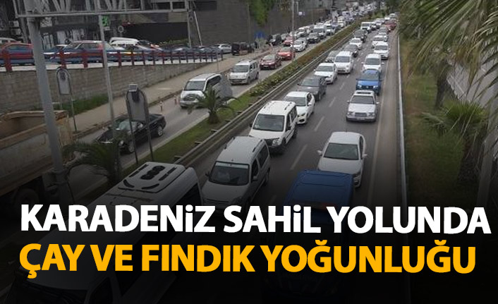 Karadeniz sahil yolunda çay ve fındık göçü yoğunluğu