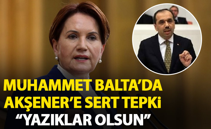 Balta'dan Akşener'e sert tepki: Yazıklar olsun