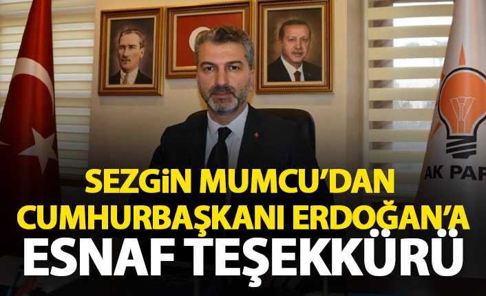 Sezgin'den Cumhurbaşkanı Erdoğan'a esnaf teşekkürü