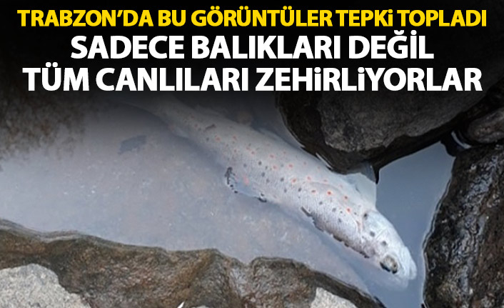 Trabzon derelerinde balık katliamı! Suç aletlerini bırakıp gittiler