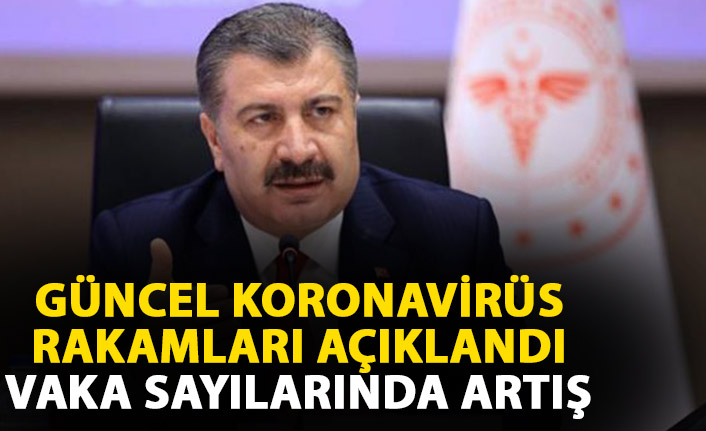 Türkiye’de günlük koronavirüs vakaları yeniden artışa geçti