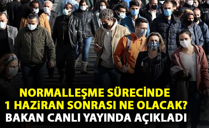 Normalleşme sürecinde 1 Haziran sonrası ne olacak? Bakan canlı yayında açıkladı