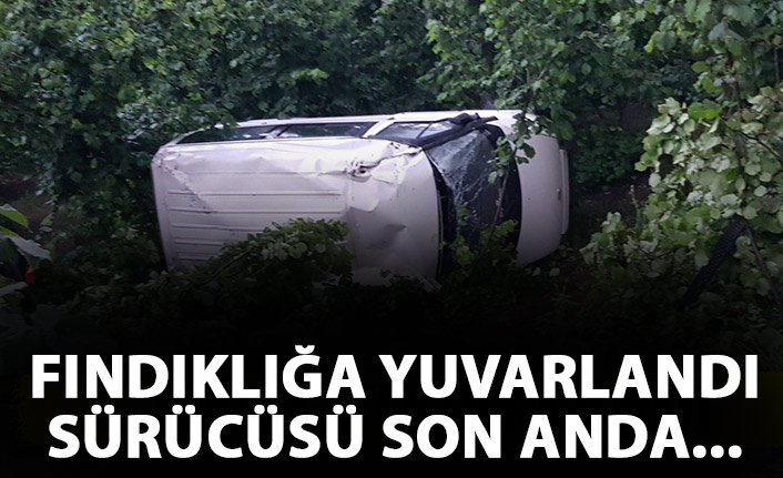 Araç fındıklığa yuvarlandı! Sürücüsü yara almadan kurtuldu