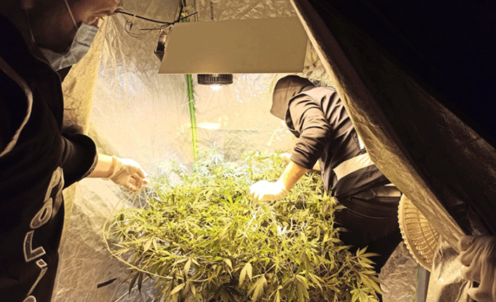 59 ilde dev operasyon! 574 kişi tespit edildi