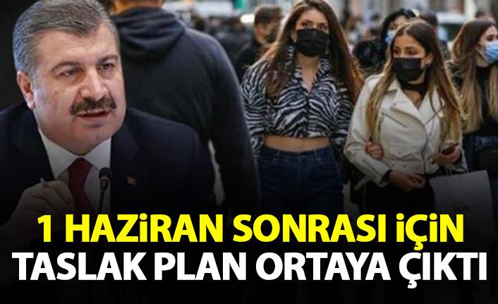 1 Haziran sonrası için Bilim Kurulu'nun hazırladığı  taslak plan ortaya çıktı