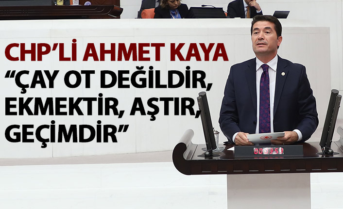 CHP'li Ahmet Kaya: Çay ot değil, emektir, aştır, geçimdir
