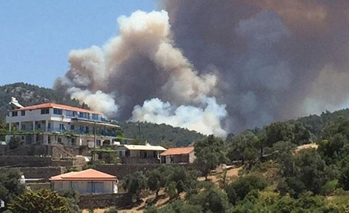 Milas'ta ormanlık alanda yangın