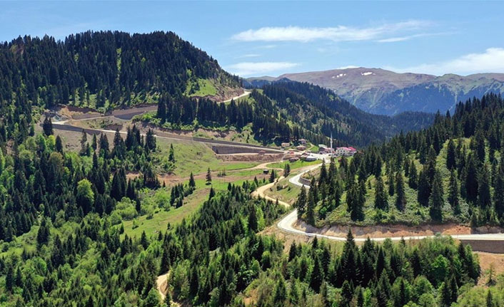 Trabzon'un yaylaları ziyaretçilerini bekliyor