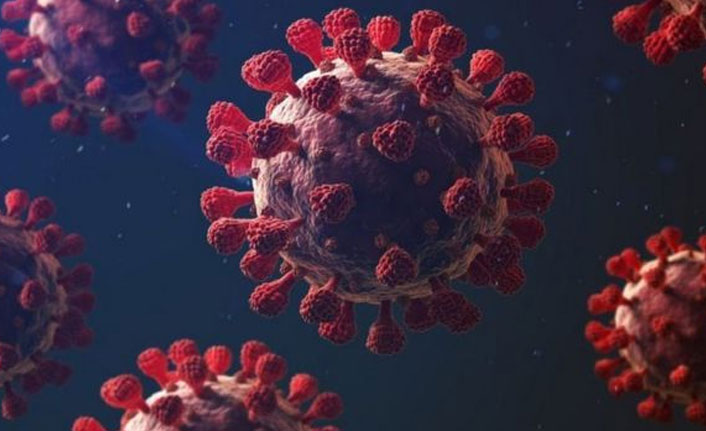 Koronayla ilgili skandal rapor