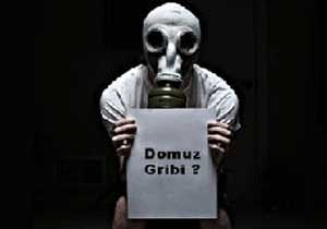 Domuz gribini ABD'mi üretti?