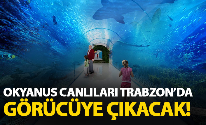 Okyanus canlıları Trabzon'a gelecek!