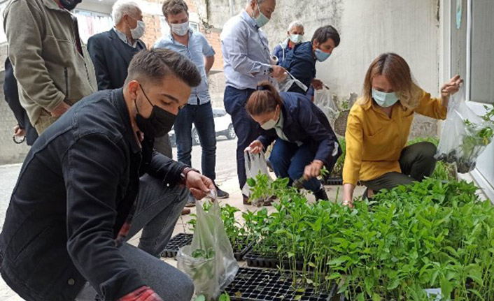 5 bin fide çiftçilere dağıtıldı