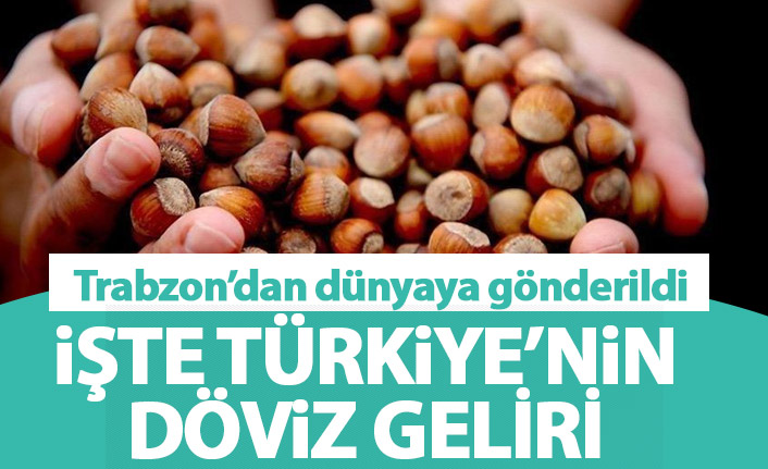 Trabzon'dan 343 milyon dolarlık fındık ihracatı