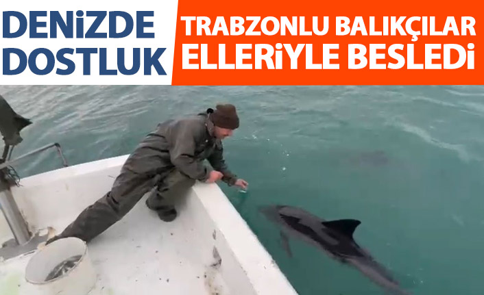 Trabzonlu balıkçılar ile yunusların dostluğu