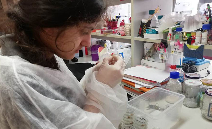 Yomra Fen’den bir başarı daha