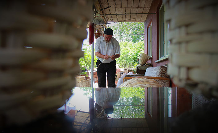 Trabzonlu asırlık çınarın hüzünlendiren hikayesi