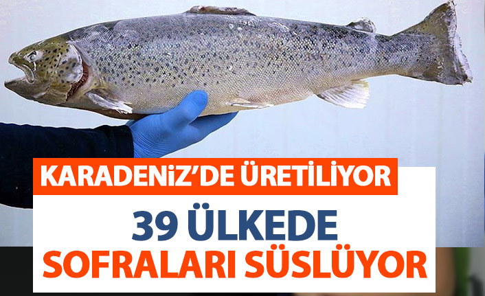 Karadeniz somonu yılın 5 ayında 39 ülkeye ihraç edildi