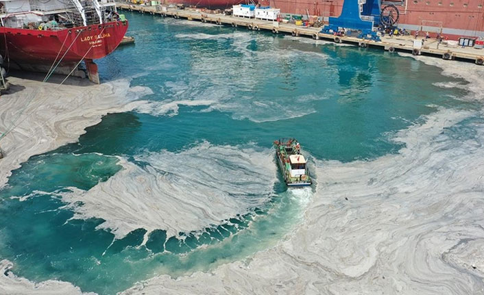 “Karadeniz’deki balık çeşitliliği olumsuz etkilenecek”