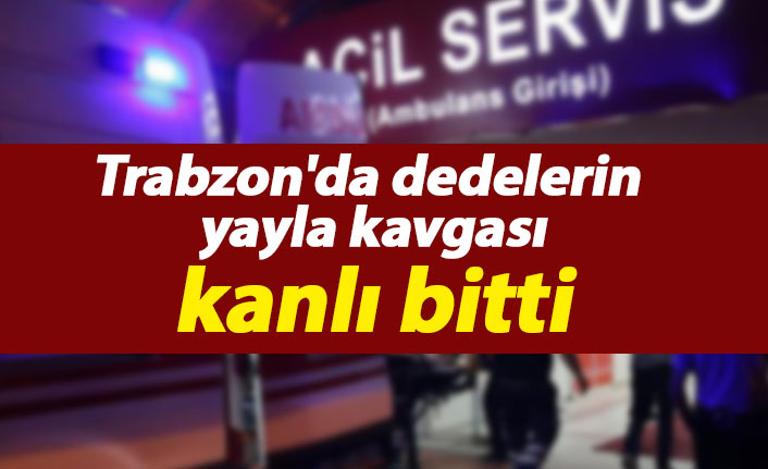 Trabzon'da dedelerin yayla kavgası kanlı bitti
