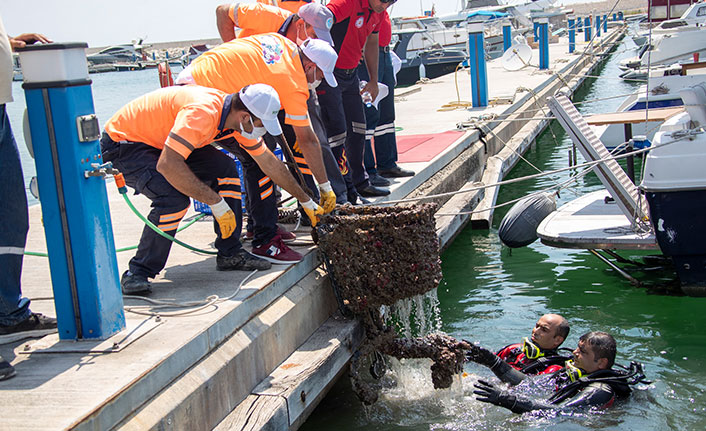 Denizden alışveriş arabası çıktı!