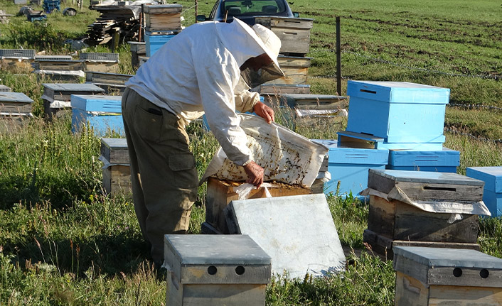 Arıcıların kuraklık endişesi