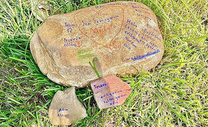 Taştaki tecavüz iddiası gerçek çıktı