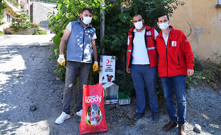 Başkan Genç’ten “Sokak hayvanlarını unutmayın” uyarısı