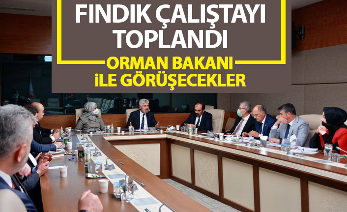 Fındık çalıştayı toplandı! Tarım ve Orman Bakanı'na gidilecek