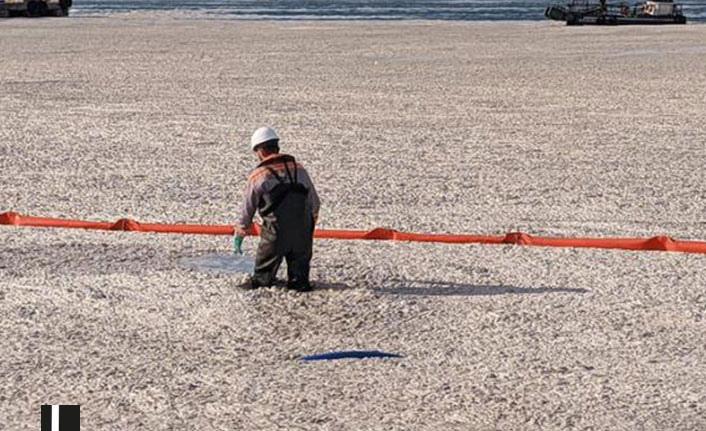 Müsilajla ilgili ilk inceleme sonucu geldi!