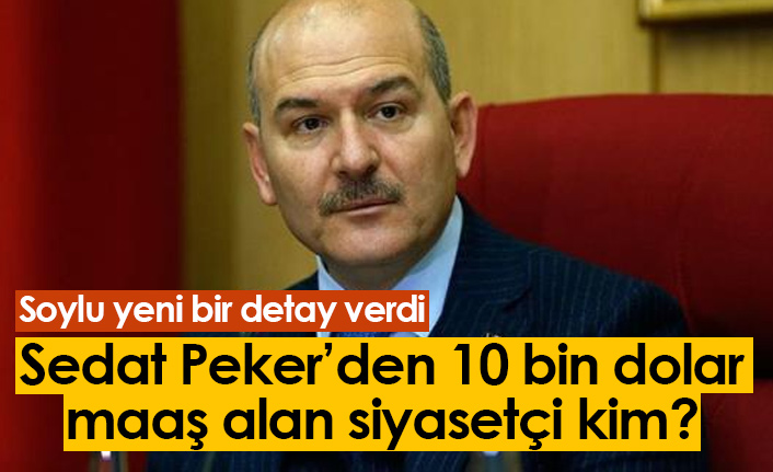Sedat Peker'den 10 bin dolar alan siyasetçi kim? Soylu'dan yeni detay